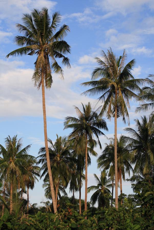 Samui Le Reve 호텔 Na Mueang 외부 사진